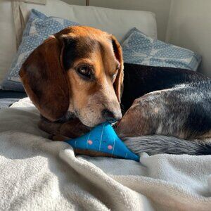 Meet your Posher, Jonathan